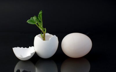 ¿Quieres que tu empresa crezca? Tienes que crecer tú.