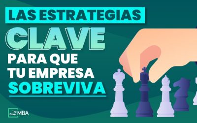 Fases y ejemplos del ciclo de vida de un producto