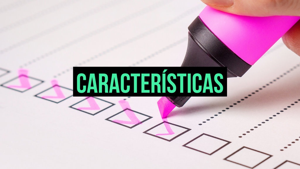 caracteristicas proveedor chino