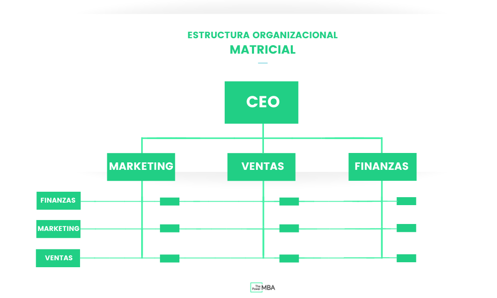 estructural organizacional matricial