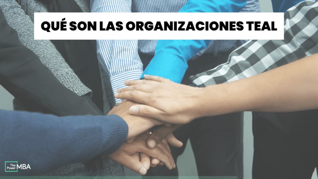 que son las organizaciones teal
